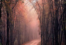 曼城挺进足总杯半决赛.