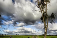 多多28官网：[英超]萨拉赫两传一射 利物浦击败曼联赢下双红会.