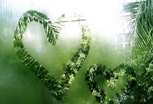 [CBA]威尔斯反击分球 王岚嵚追身三强势命中.