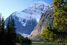 Shams:欧文只遭遇了左膝前交叉韧带撕裂 其他韧带和半月板无损伤.